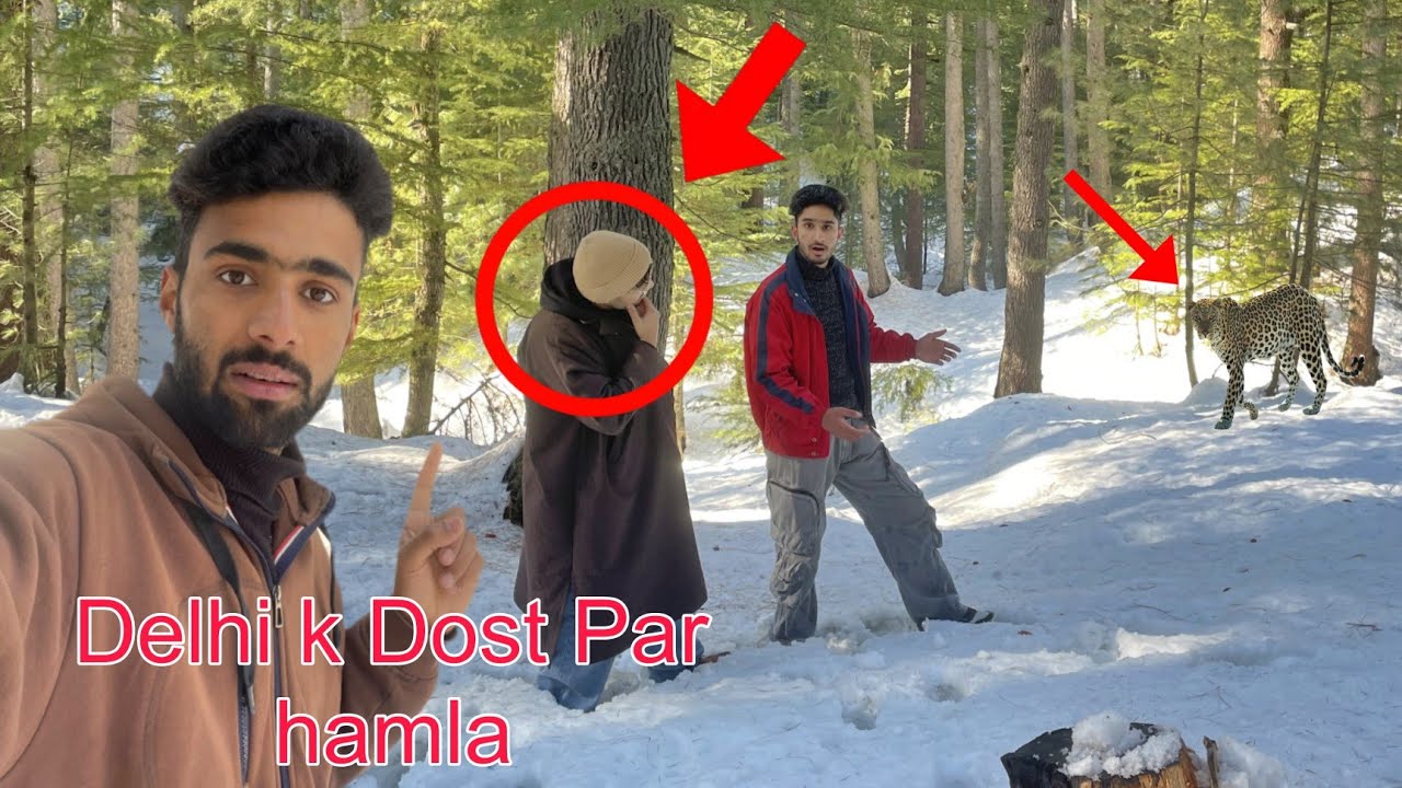 Delhi k dost k sath deep jungle mai party 😇 Achanak yi ky huva 😢 Trip cancel 😞 