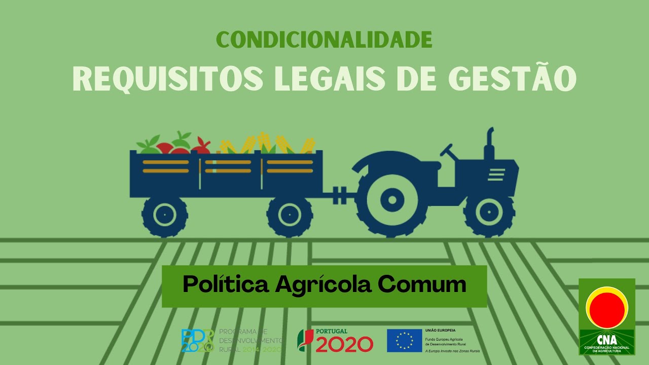 PAC - Condicionalidade - Requisitos Legais de Gestão (RLGs)