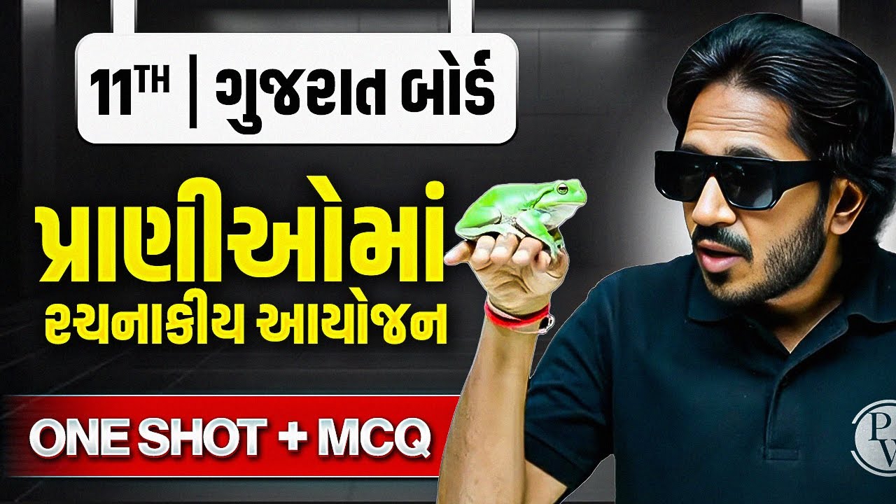 પ્રાણીઓમાં રચનાકીય આયોજન in Gujarati🪲| ONE SHOT BIOLOGY🔥| Class 11/GSHSEB