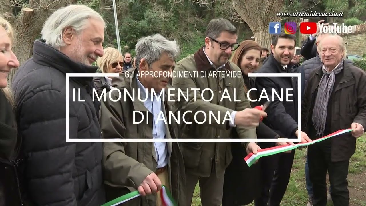 Il monumento al cane di Ancona