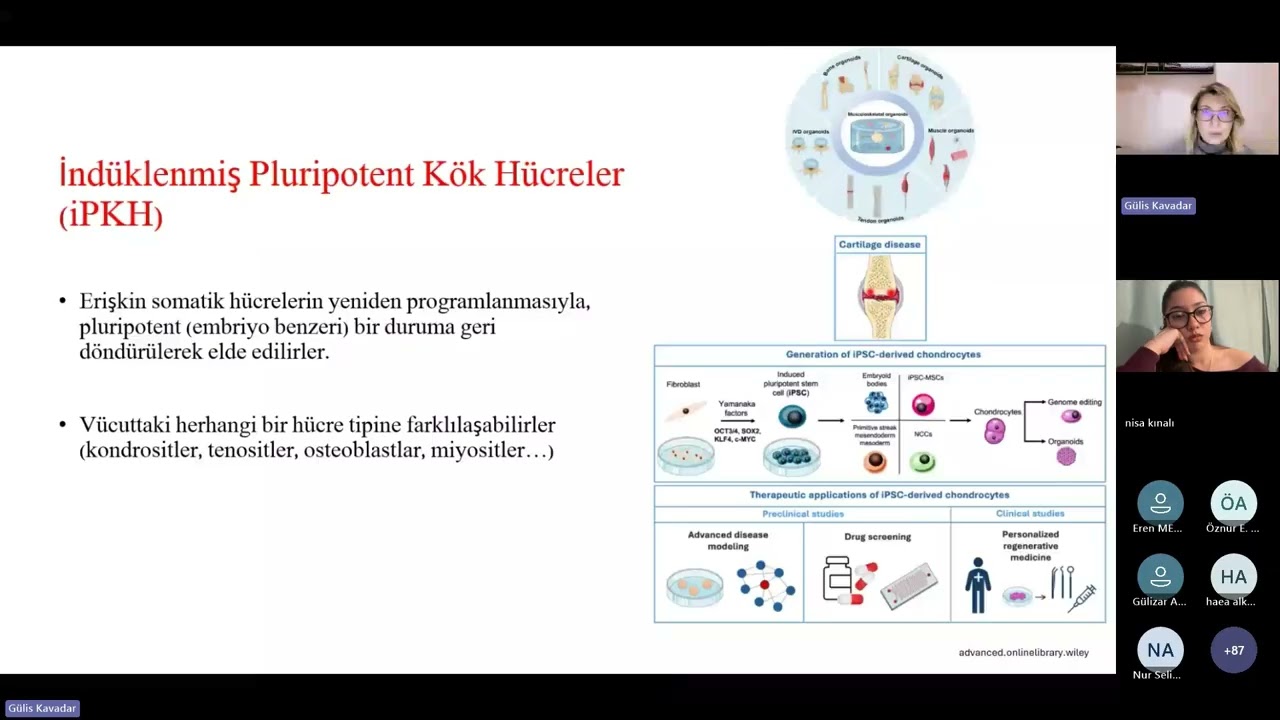 Kök Hücre ve Doku Mühendisliği Konferans Kaydı