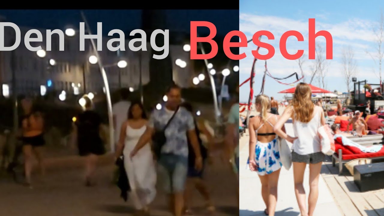 Den Haag Besch Night Pakistani pardesi bhai Frankfurt