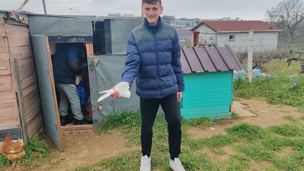 Kuluçkalık Yumurtalar Geldi/Eski Tavukları Ziyaret Ettim. 