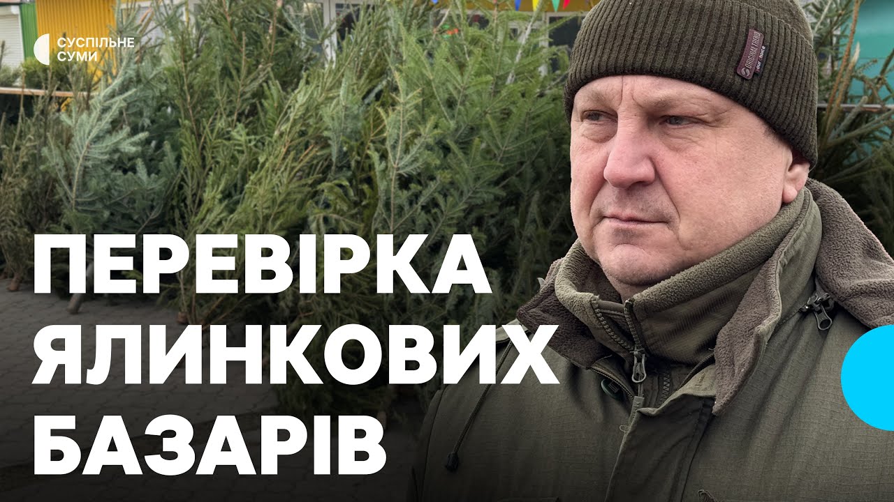 "Є документи на дерева?". Як у Сумах працює ялинковий базар