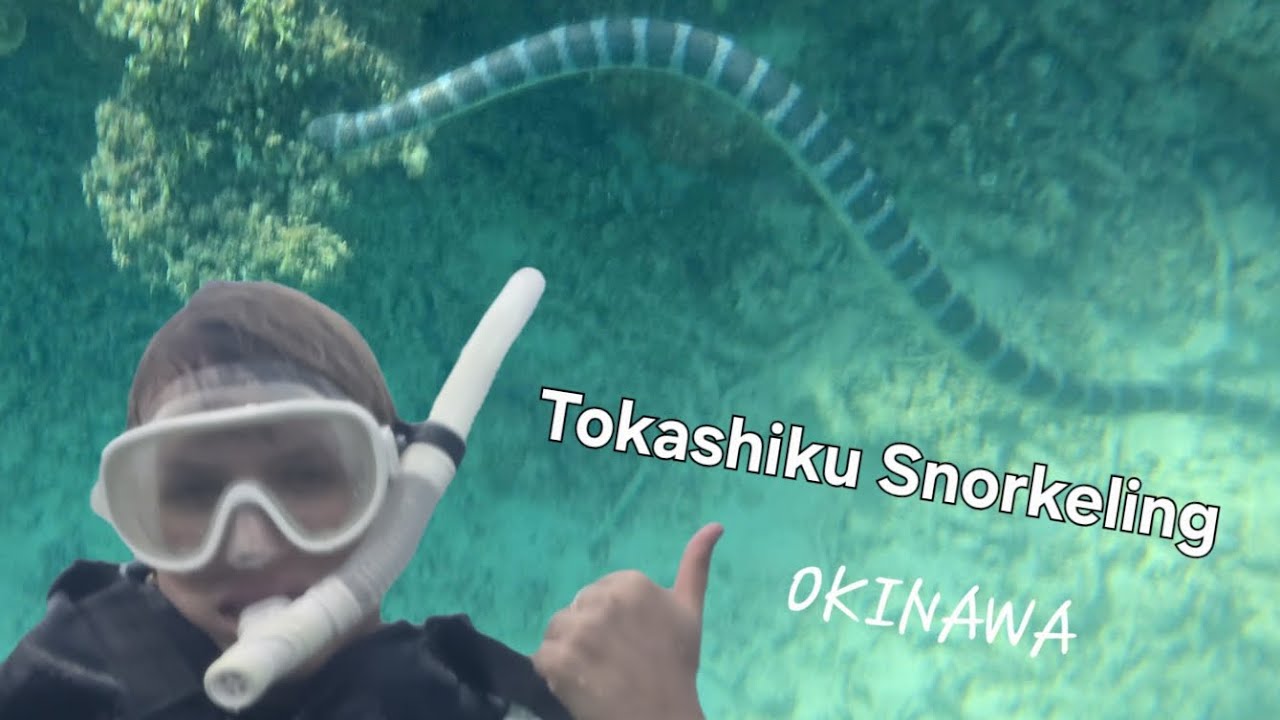 Tokashiku, Aharen Beach Snorkeling / Schnorcheln