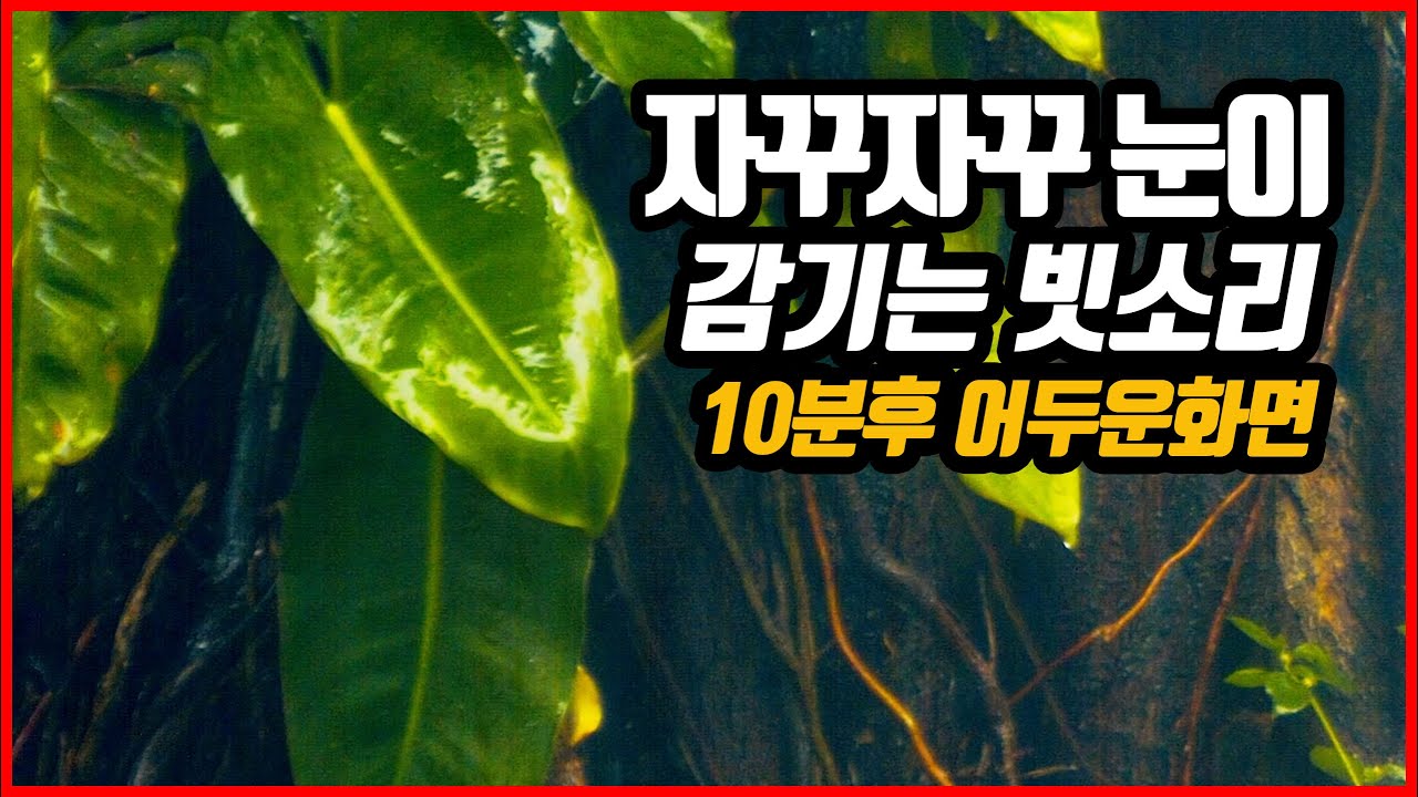 들으면 자꾸자꾸 눈이 감기는 잠들게 해주는 빗소리ㅣ이명 이석증 불면증 완화ㅣ10분후 검은 화면ㅣ백색소음 빗소리 asmr