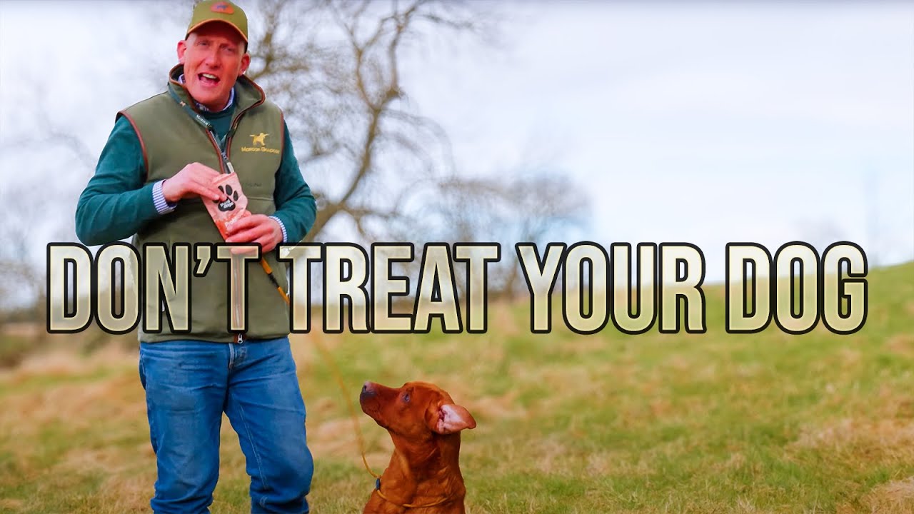 DON'T Give Your Dog TREATS!