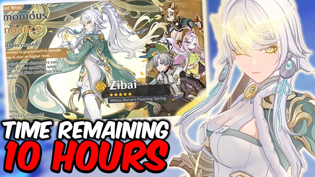 This video does NOT end until i get ZIBAI