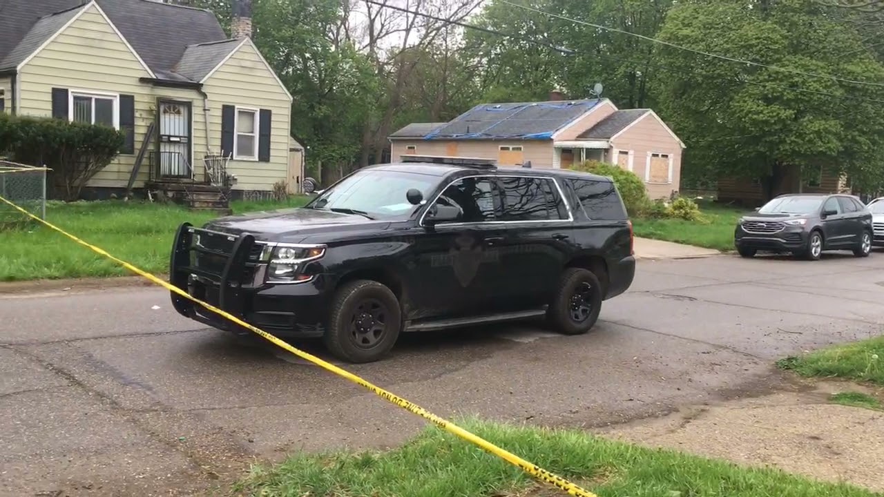 Flint woman shot multiple times, killed in home