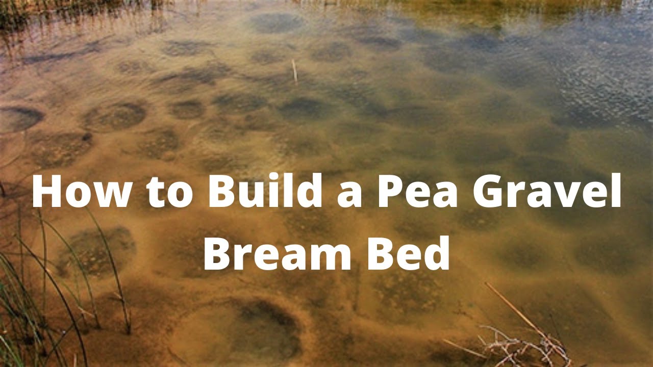 How Build a Pea Gravel Bream Bed