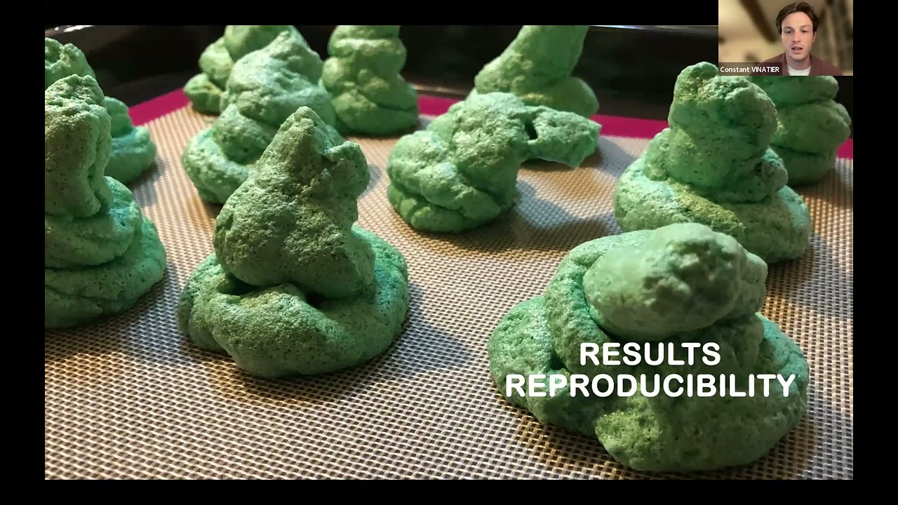 Using reporting guidelines to improve reproducibility of X-mas tree meringues - Constant Vinatier