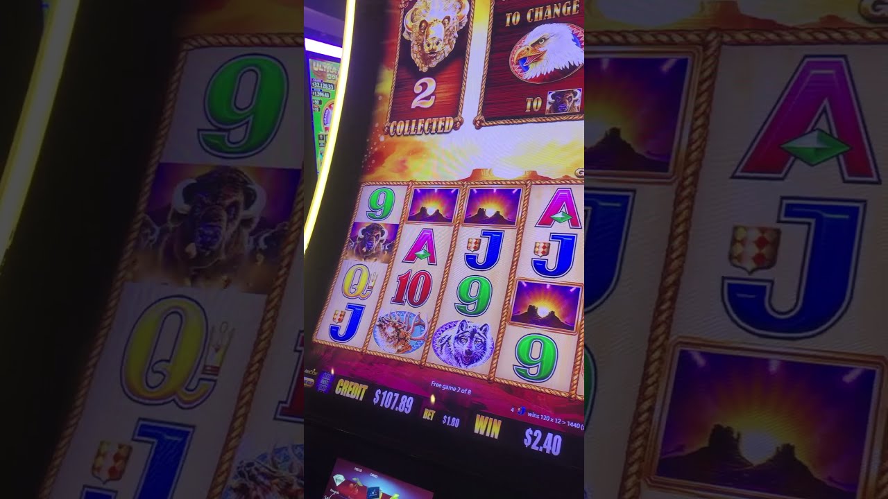 HUGE WIN TRIPLE WILDS in the BONUS on BUFFALO GOLD Slots - Dad winning over 100X at Winstar!