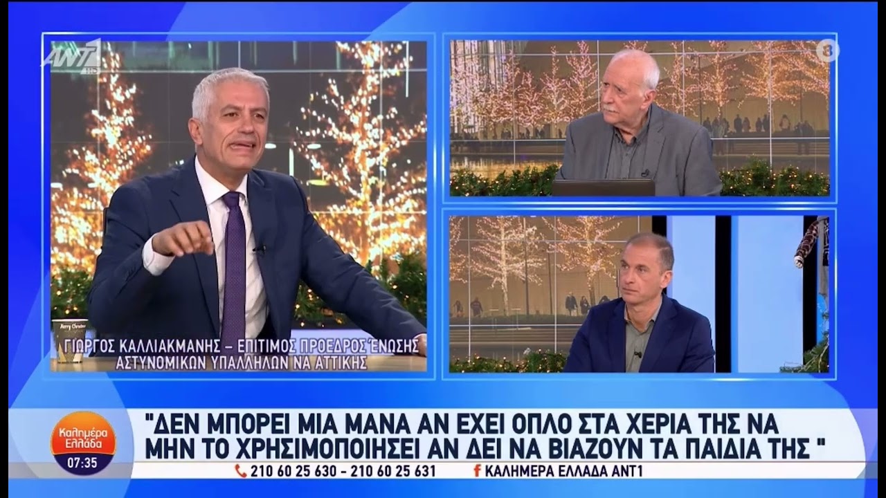 Καλλιακμάνης ΑΝΤ1: «Δεν μπορεί μια μάνα να δέχεται να κακοποιούν τα παιδιά της τόσο βάναυσα» |