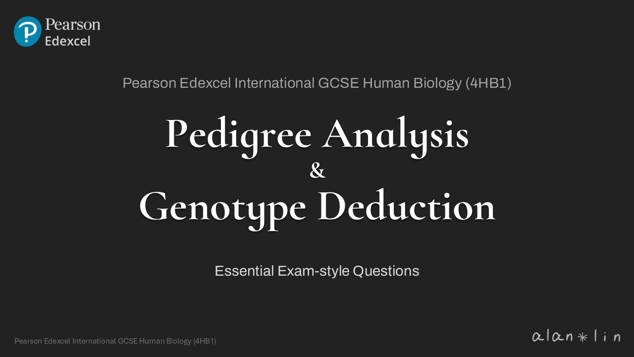 Edexcel iGCSE Human Biology (4HB1): How to answer pedigree analysis and genotype deduction questions