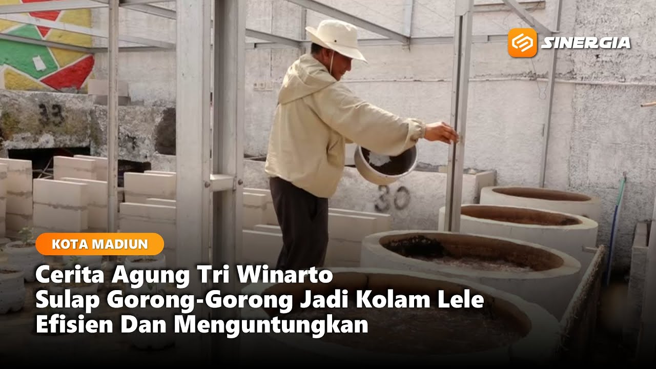 KOTA MADIUN - Agung Tri Winarto Sulap Gorong-Gorong Jadi Kolam Lele, Efisien dan Menguntungkan