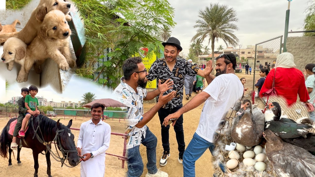 APNE ZOO ME WAPIS AKAR BOHAT SUKOON MILA