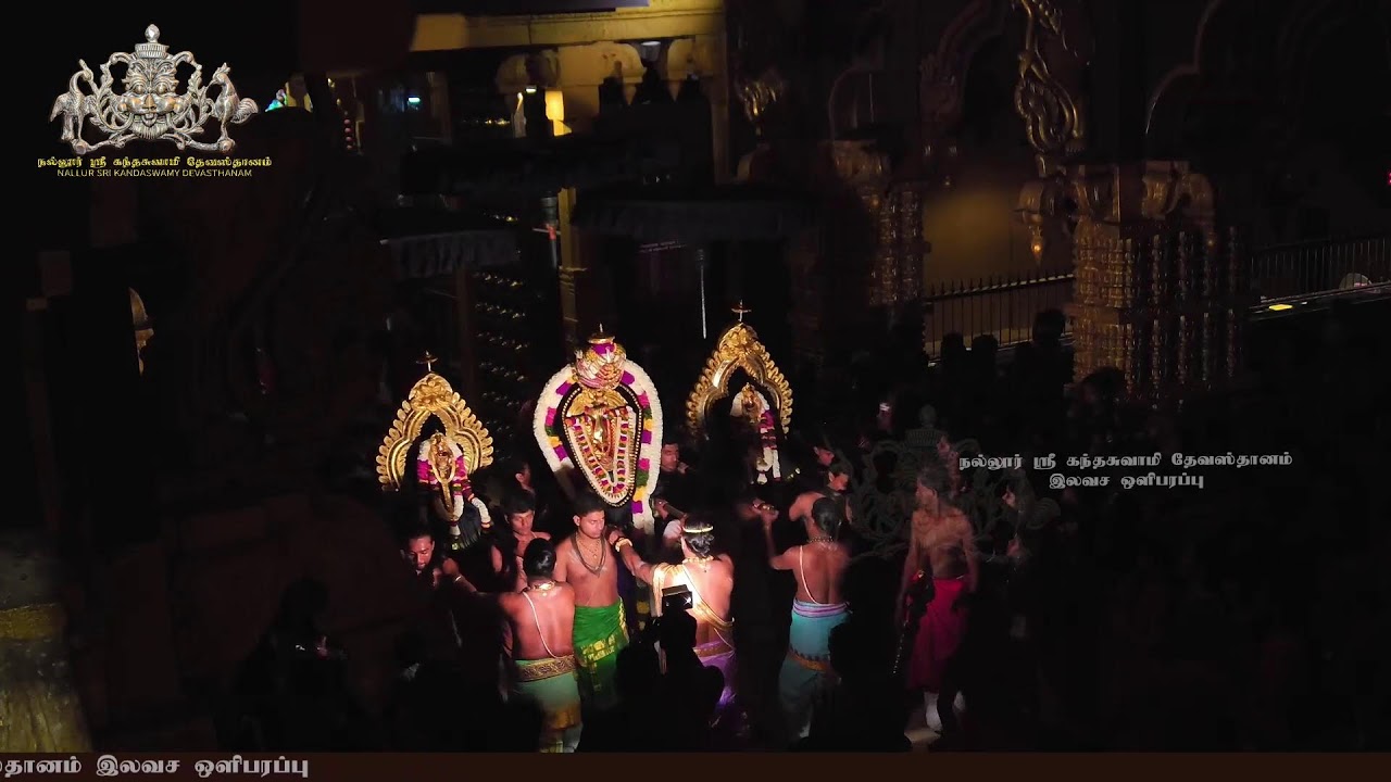 Nallur Sri Kandaswamy Devasthanam 17th Day Evening Festival 2025 Free Live Broadcast