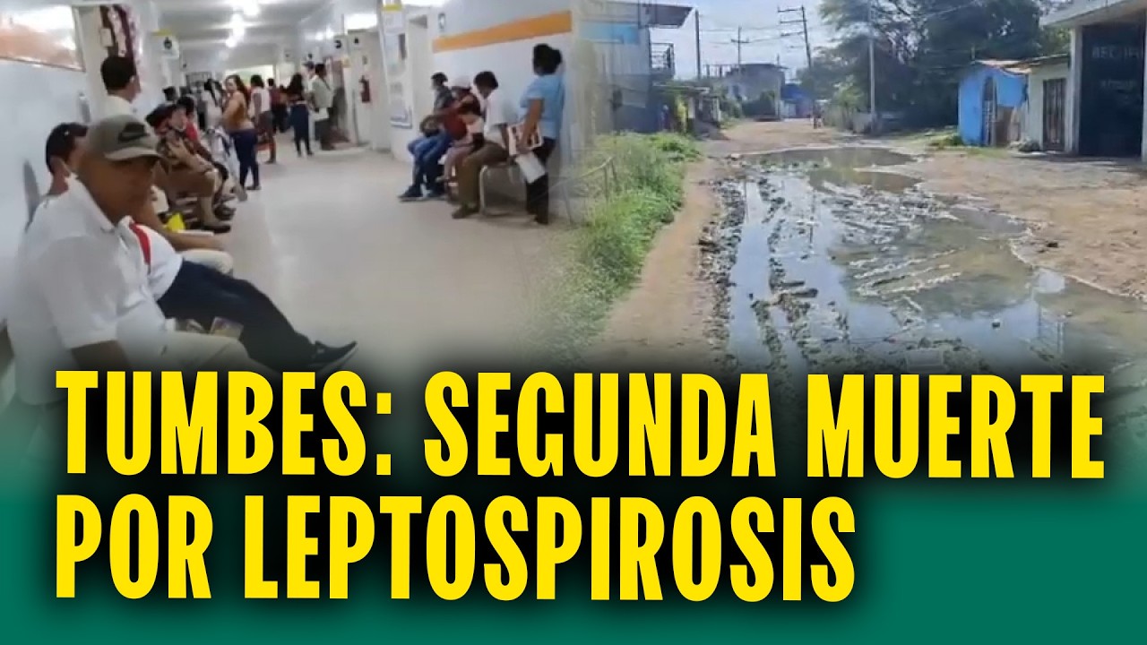 Alerta en Tumbes: Segunda muerte por leptospirosis y cincuenta casos confirmados