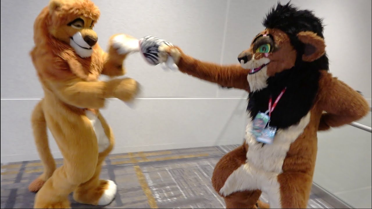 Anthro Northwest 6 (2024) - Mufasa & Scar The Lion King Fursuit Cosplay от Kitwana & Kijani Lion