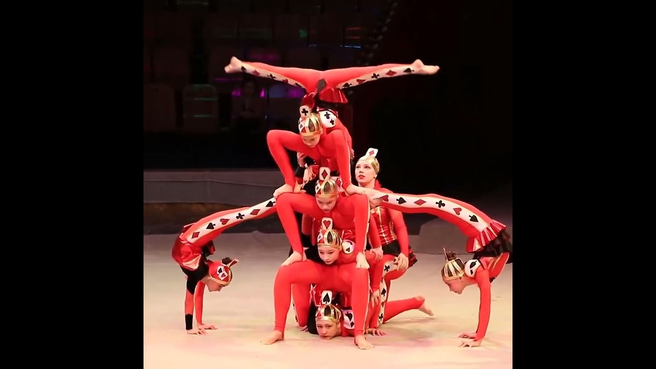 World Live Gymnastics Show || Unreliable Circus