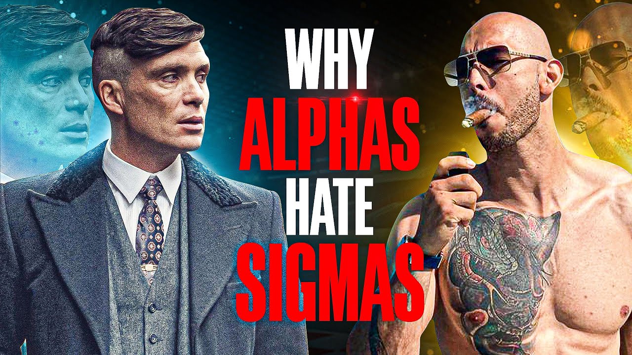 Why Alpha males HATE Sigma males?! Have you ever think about this!?