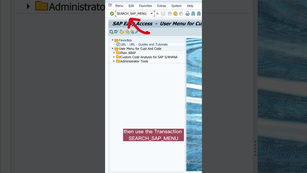 Powerful Search Option in SAP GUI - Transaktion #sap #search #tips