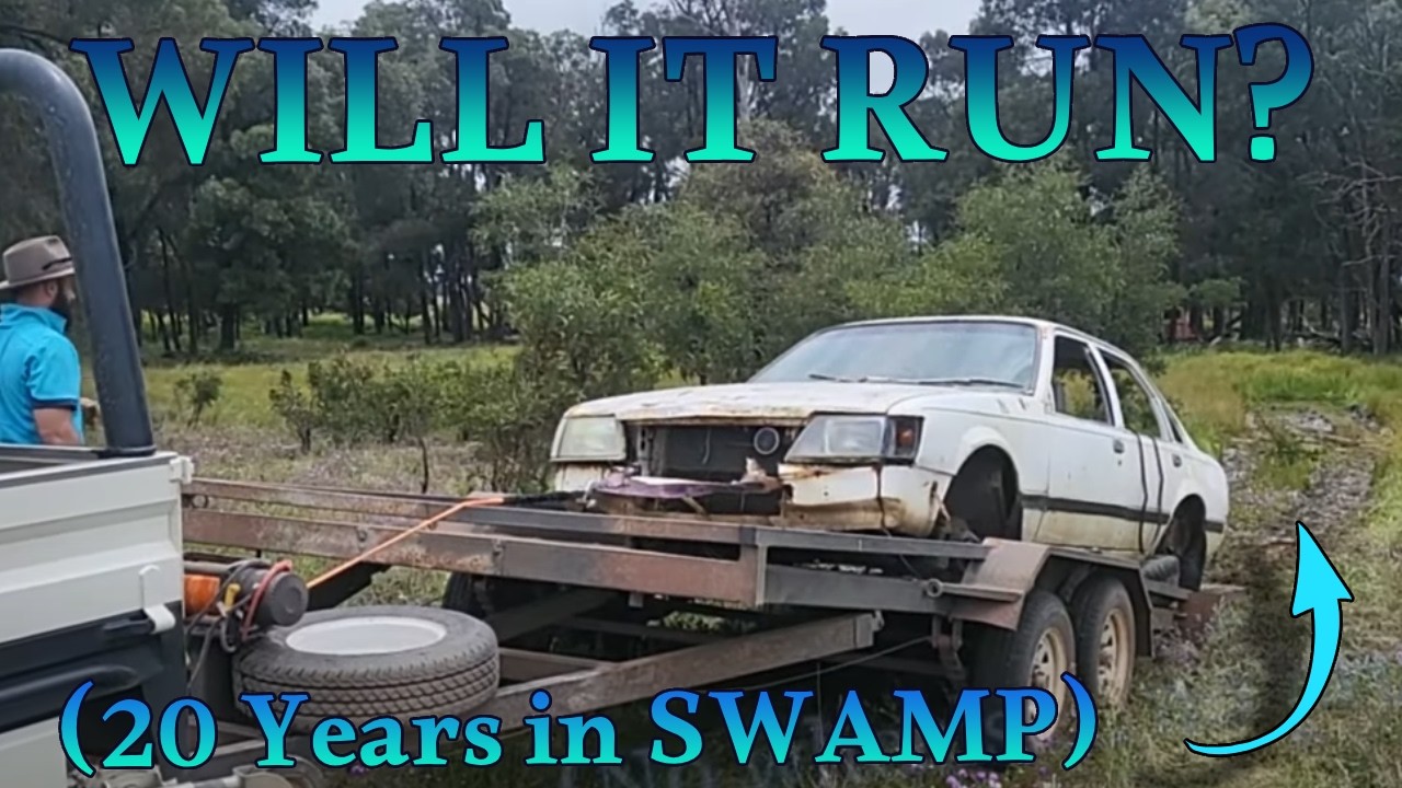 In a SWAMP for 21 Years.  I Can't Believe What Happened ! ! !