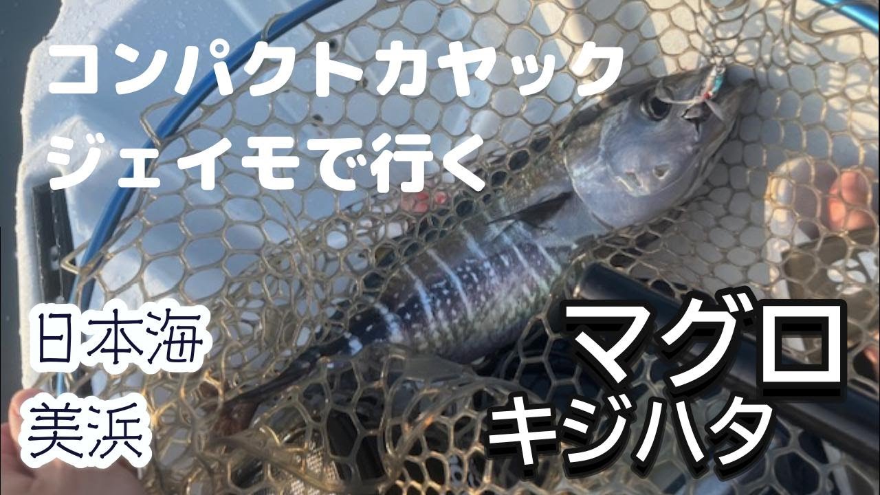 日本海　福井県美浜　コンパクトカヤックにジェイモで行く　マグロ、キジハタ