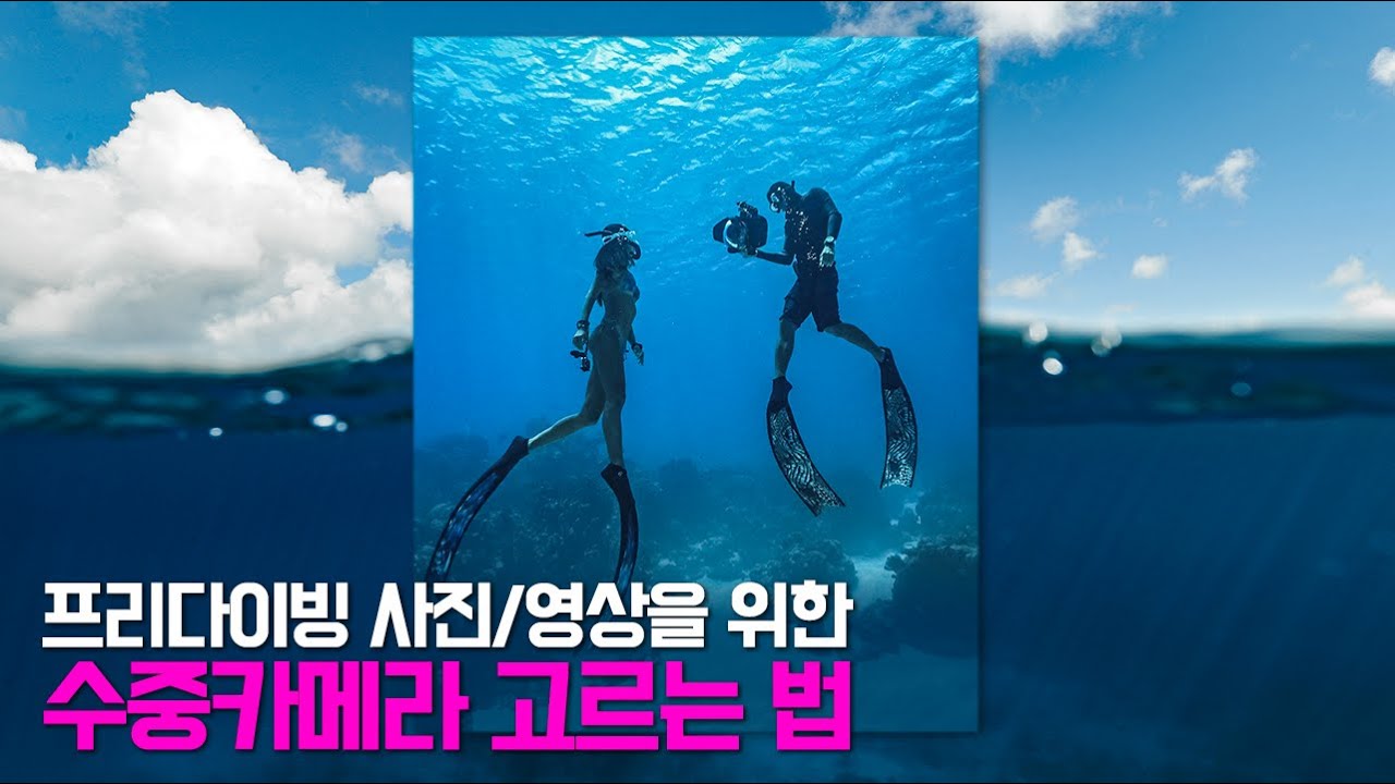#18 프리다이빙 영상과 사진을 위한 수중 카메라 고르는 법