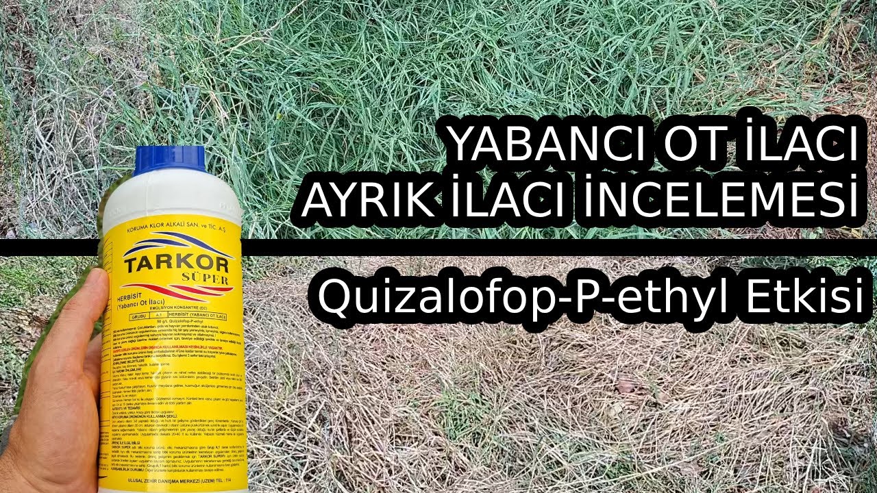 Yabacı ot ilacı incelemesi, ayrık ilacı, Quizalofop-P-ethyl