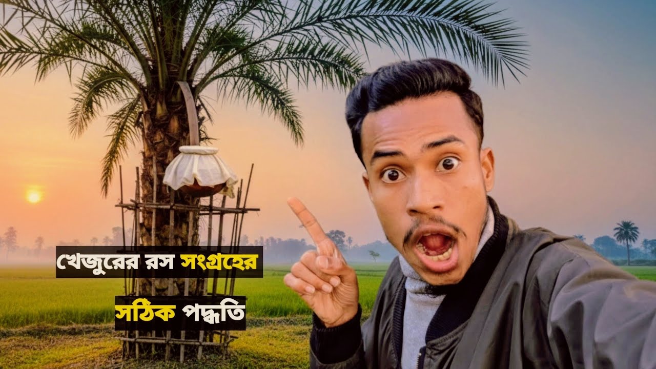 খেজুর গাছ থেকে রস সংগ্রহের সঠিক পদ্ধতি | বাদুড় ঠেকাতে জালের বেড়া ও বোতল ব্যবহার!Village Vlog