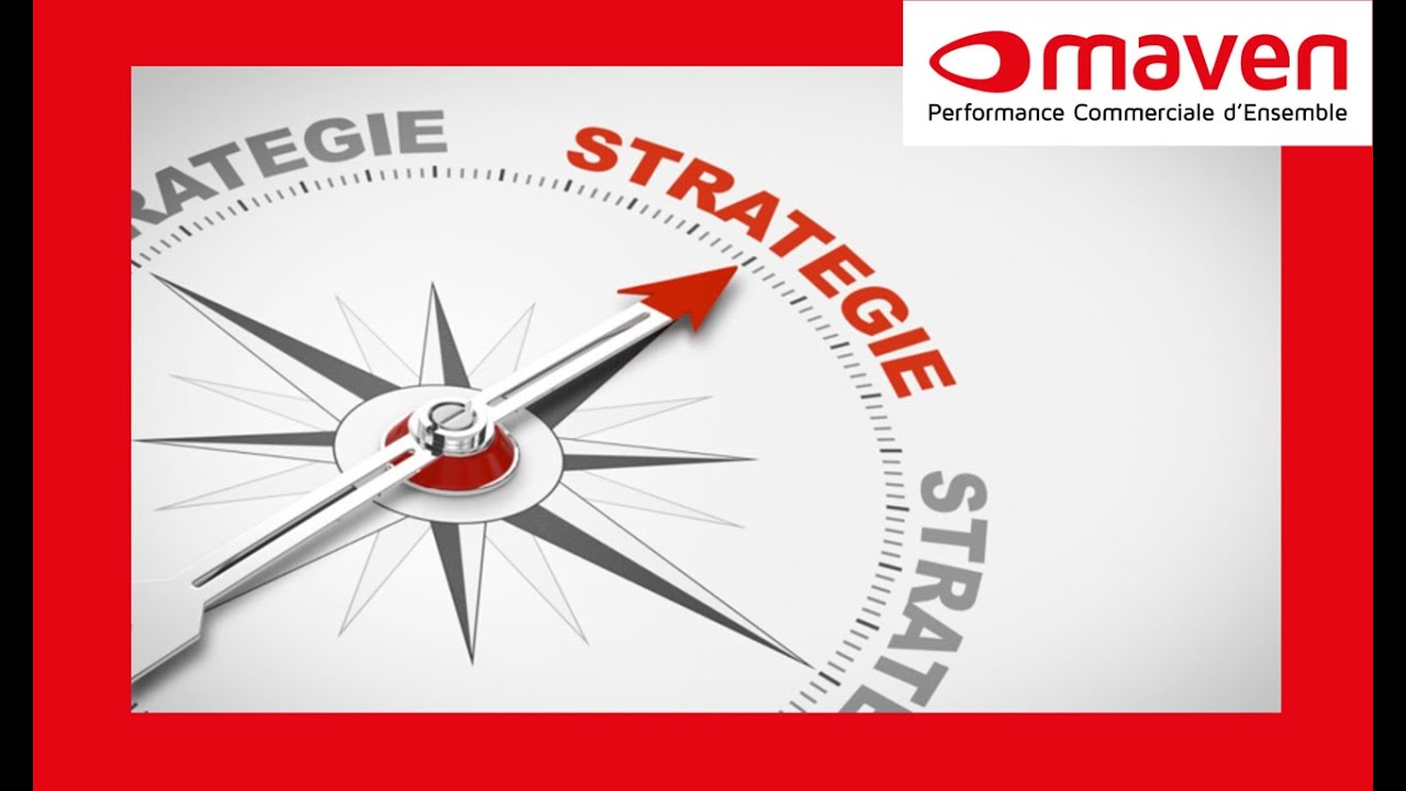 Stratégie Commerciale Pourquoi , Comment? 202503