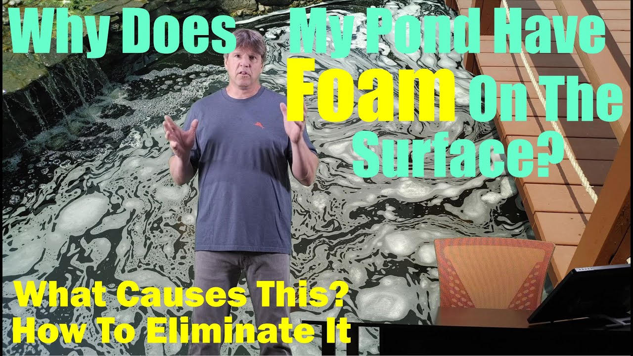Why Is There Foam On My Pond?