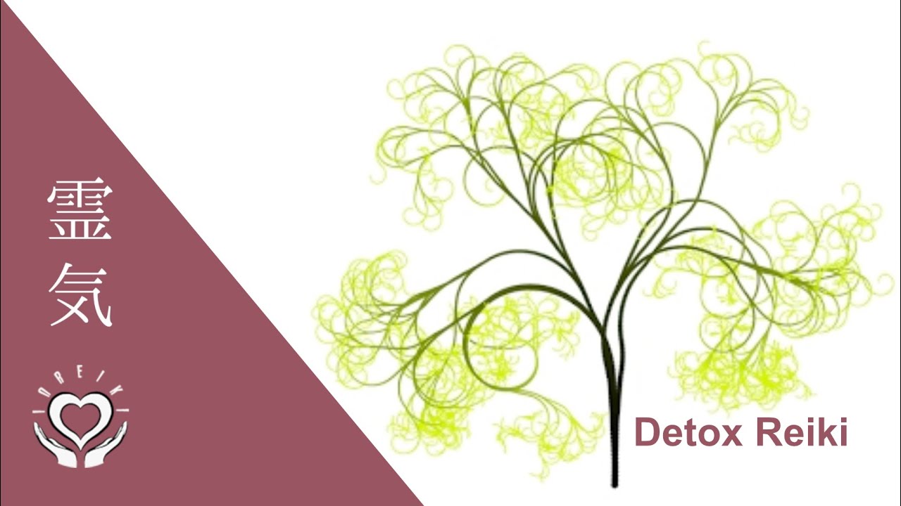 Reiki for Body Cleanse | Whole Body Detox