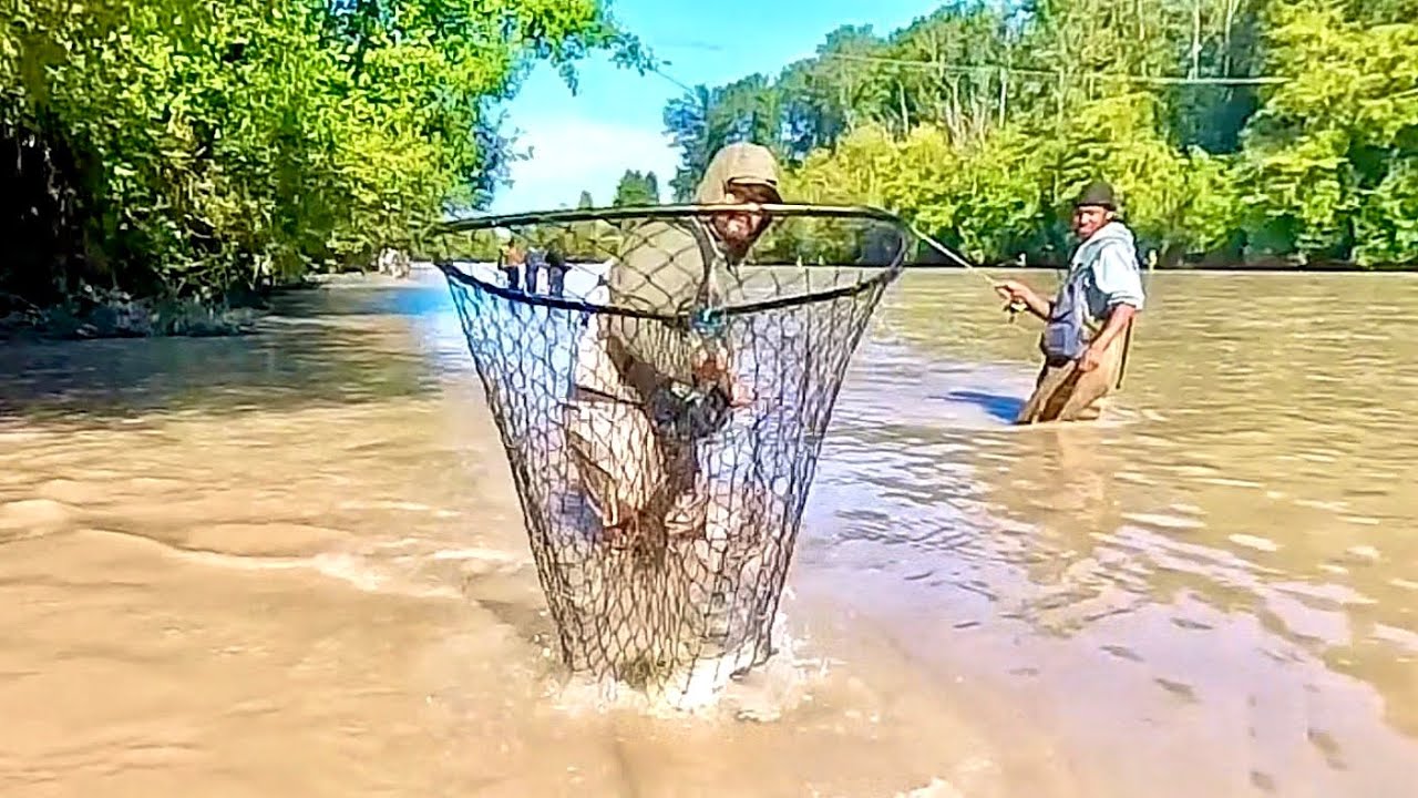 Puyallup River Pink Salmon Fishing - Late August 2025
