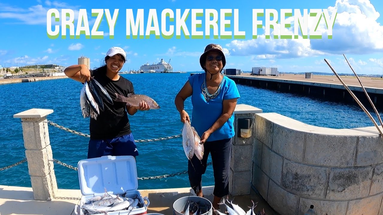 Удачный день для матери и дочери: ловля скумбрии | Безумное кормление | Бермуды 2021