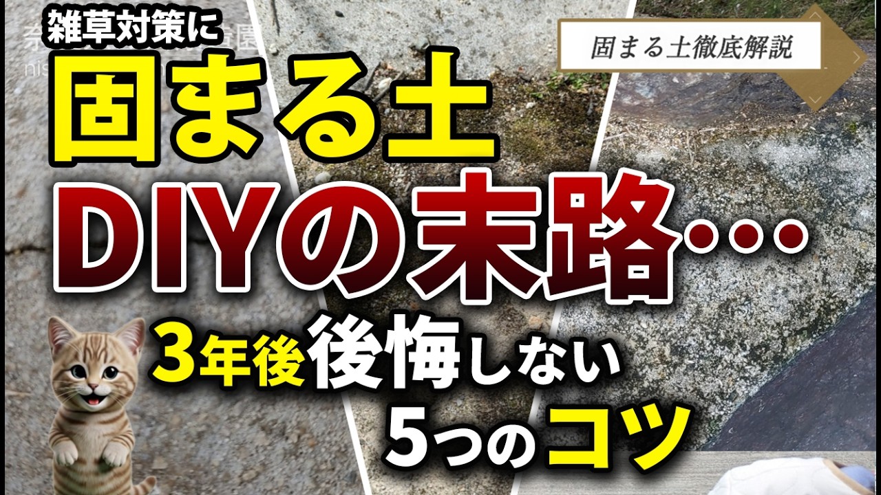 【徹底解説】雑草対策に固まる土DIYでやると3年後絶望！？プロでも9割が知らない後悔しないための全知識