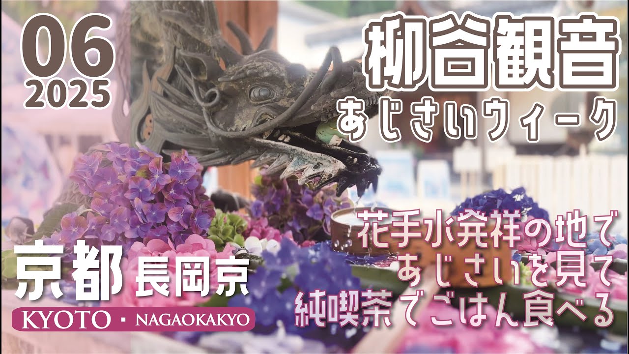 【京都｜長岡京】花手水発祥のお寺へあじさいを見に行ったら思ったより広くてあじさい以外にも見どころいっぱい！そのあと長岡京市の有名純喫茶に遅めのランチを食べに行った40代夫婦のとある休日