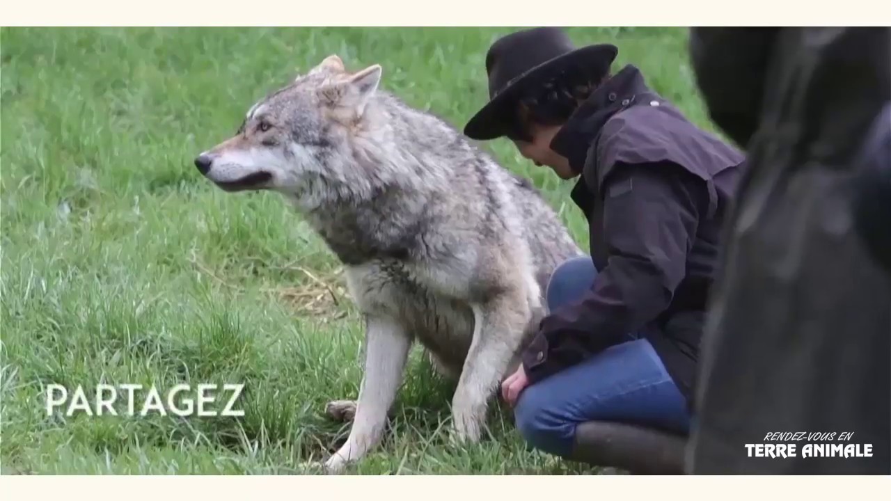 Rendez-vous en Terre Animale | Activités insolites avec les animaux