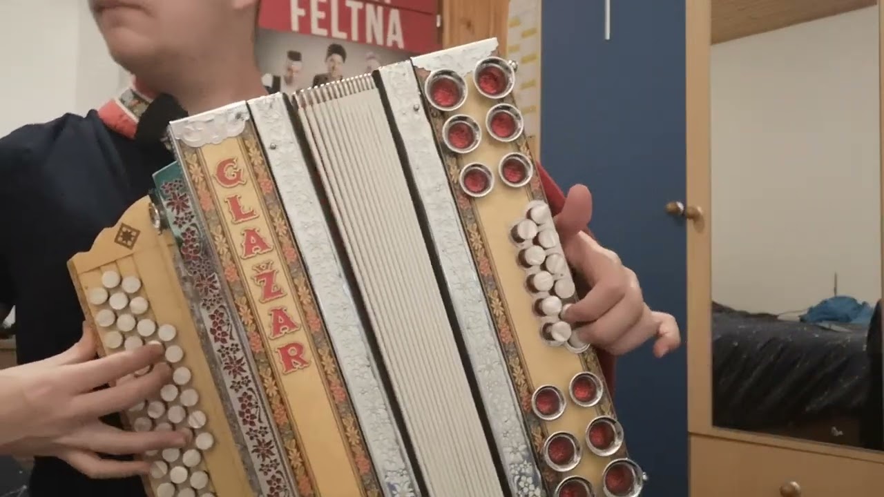 Ljubezen mamina - Ansambel Franca Flereta