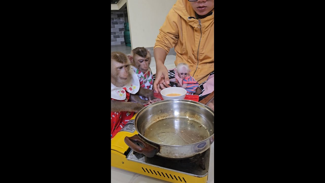 Obediently so cute Joe & Lory carry stuffs to mom cooking eggs fried rice for lunch