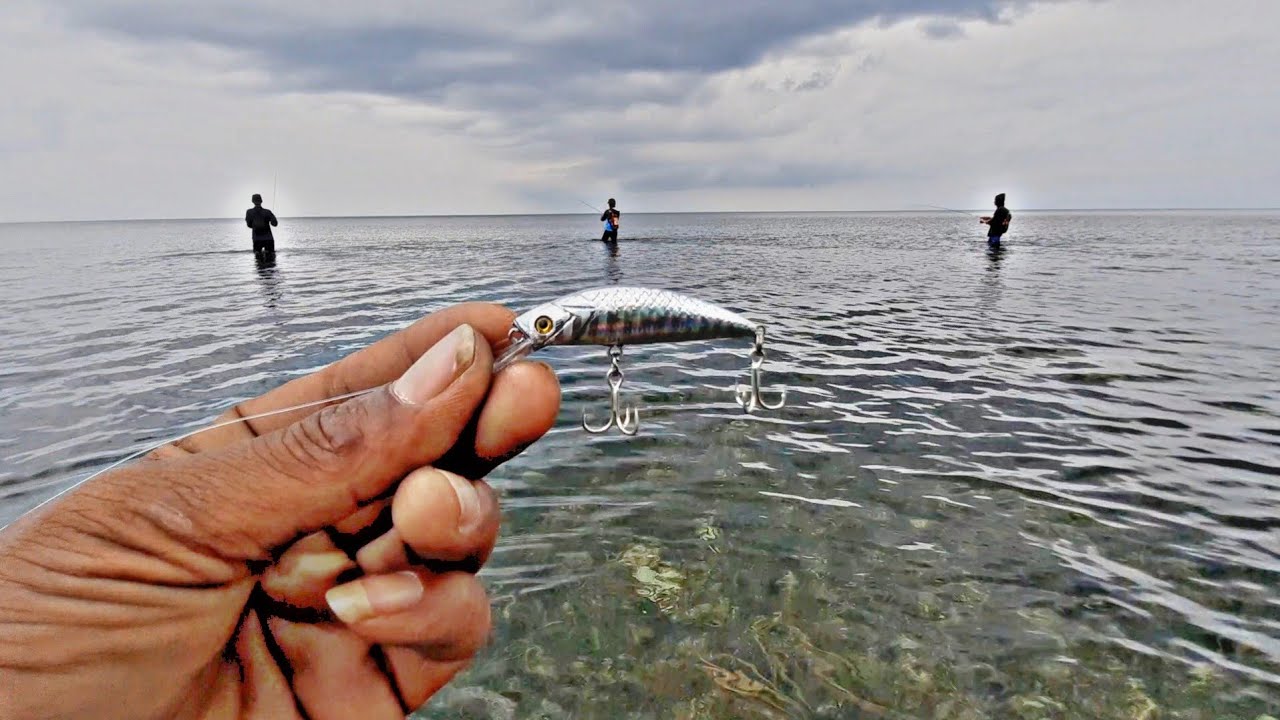 Rekor Lagi Bisa Naikkin Ikan Satu Ini Dikarang Dangkal || Bikin Panik Tarikannya😱