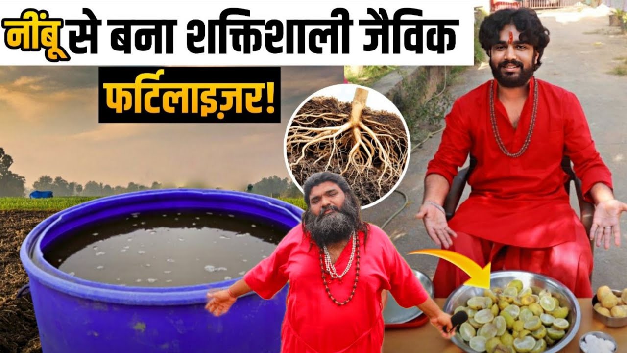 🌱Chemical छोड़ो! नींबू से घर पर बनाओ Strong Organic Fertilizer!
