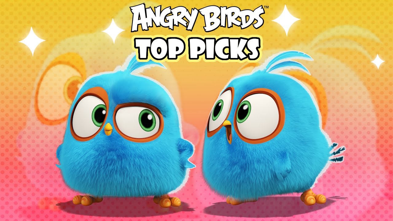 Angry Birds Top Favorite Picks 🍧