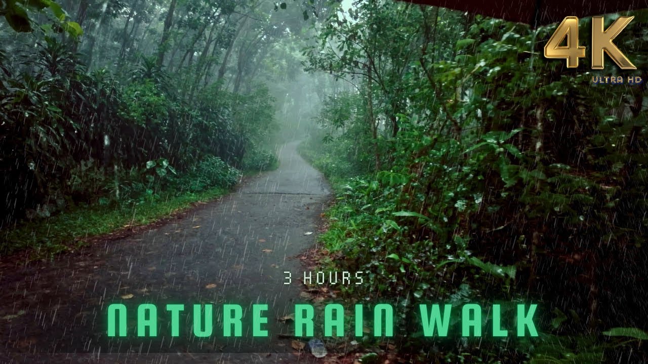 3 HOURS of HEAVY RAIN WALKS COMPILATION - ASMR Rain Sounds for Sleep - Meditation - Stress Relief