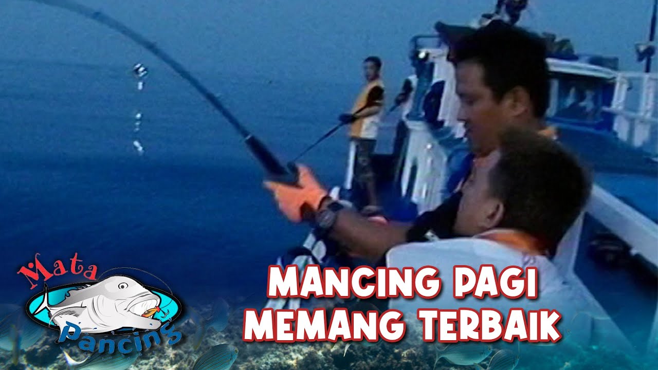 MANCING PAGI! Memang Terbaik Untuk Dapat Ikan Predator | MATA PANCING (1/2)