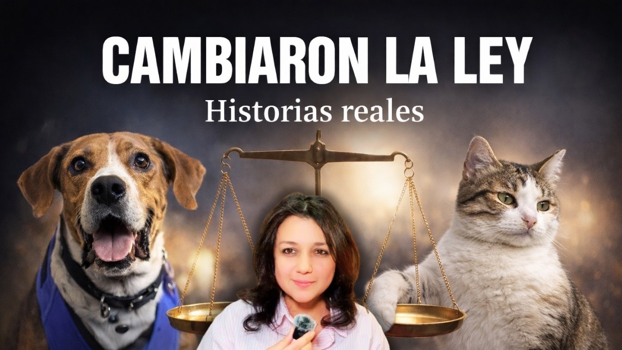 Animales que cambiaron las leyes | Historias que despertaron la conciencia