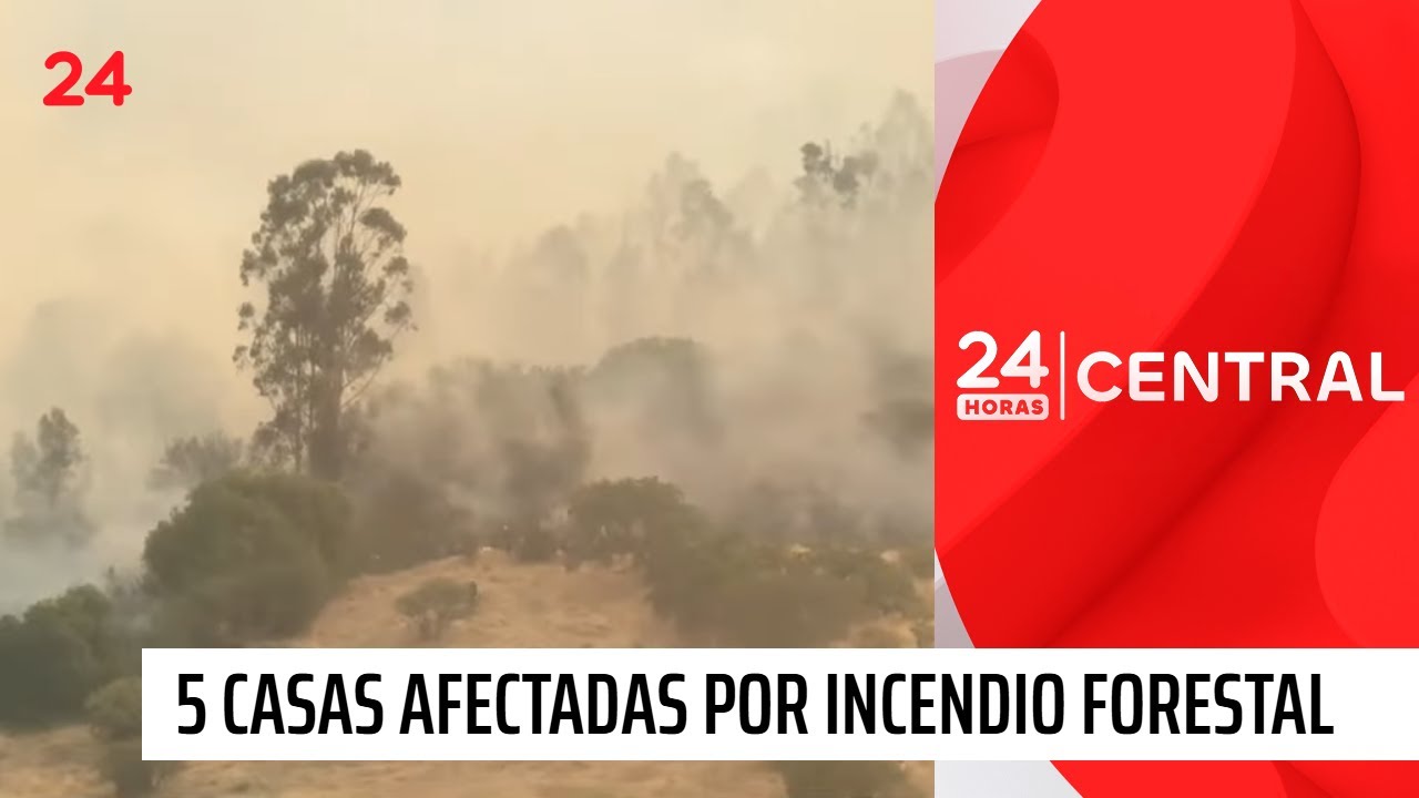 5 casas afectadas por incendio forestal en San Pedro | 24 Horas TVN Chile