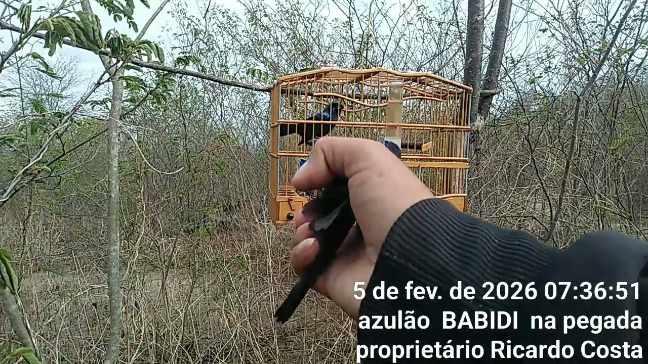 5 de fevereiro de 2026