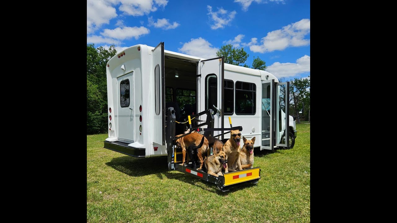 2018 Ford Econoline E350 Passenger Mobility Wheelchair Handicap Bus • k9motors.com